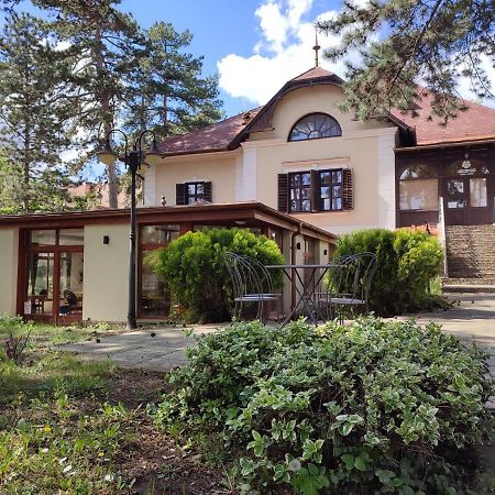 Imola Garden Vendeghaz Ξενοδοχείο Balatonfüred Εξωτερικό φωτογραφία